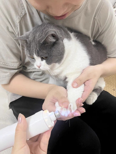 Electric Nail Grinders for Pets: Safe, Quick, and Stress-Free Grooming